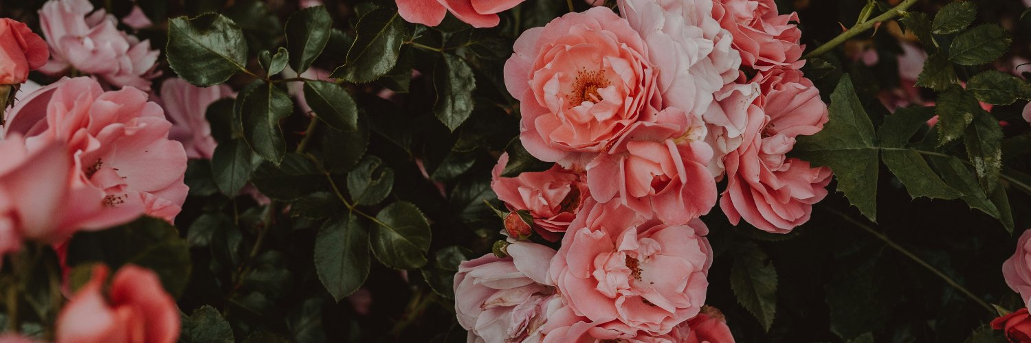 Maya's Glow 🌺 banner