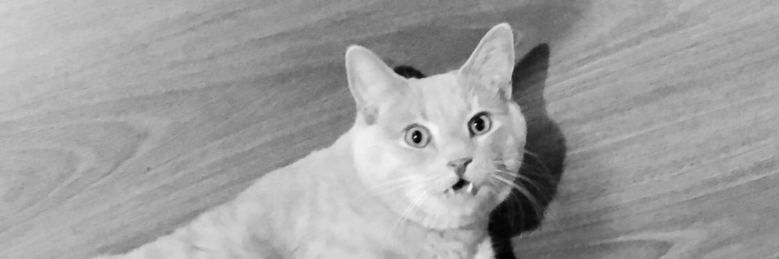 ticklejhspickle's profile banner image