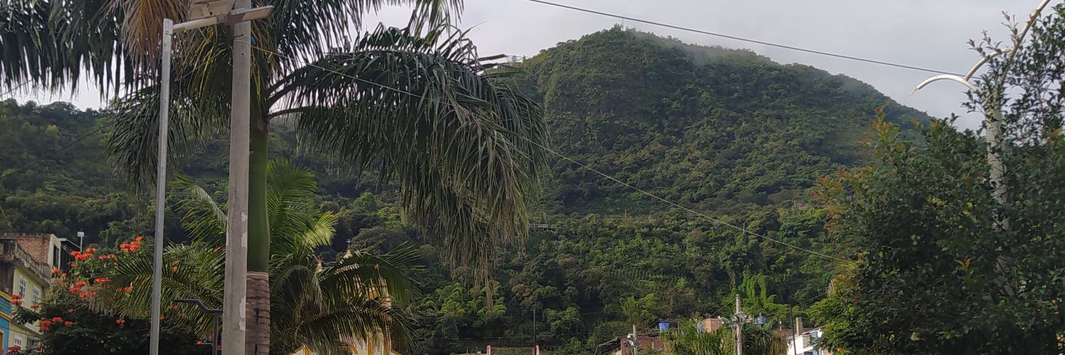 Ninho Bolaños banner