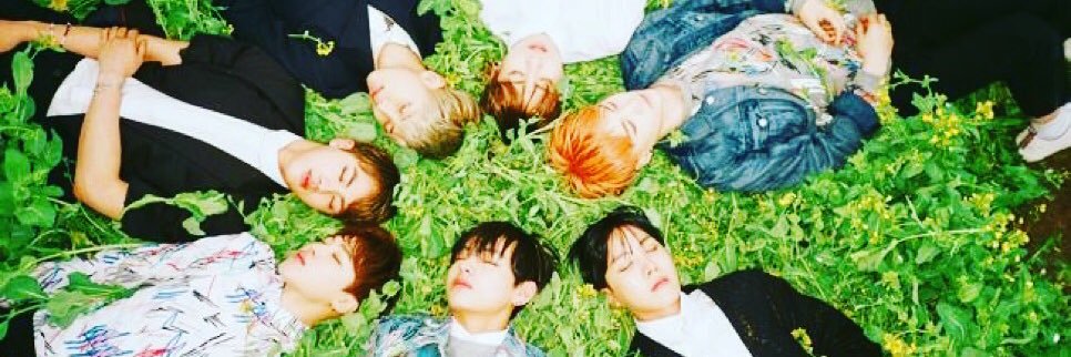 coconiceyaya's profile banner image