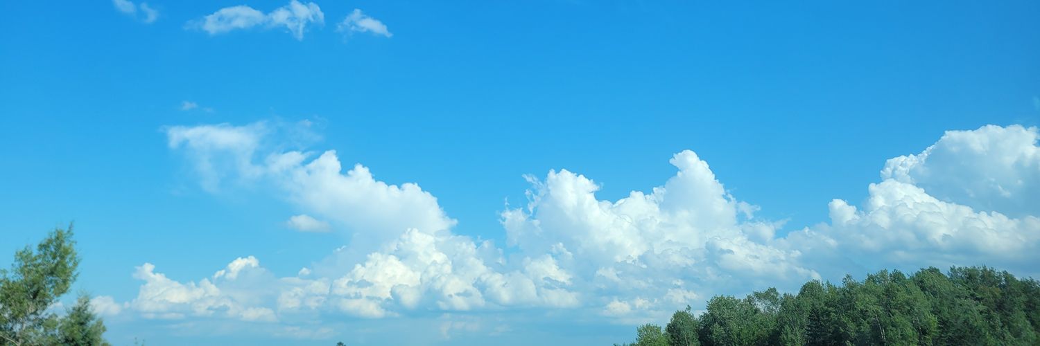 Jessica Mcc banner