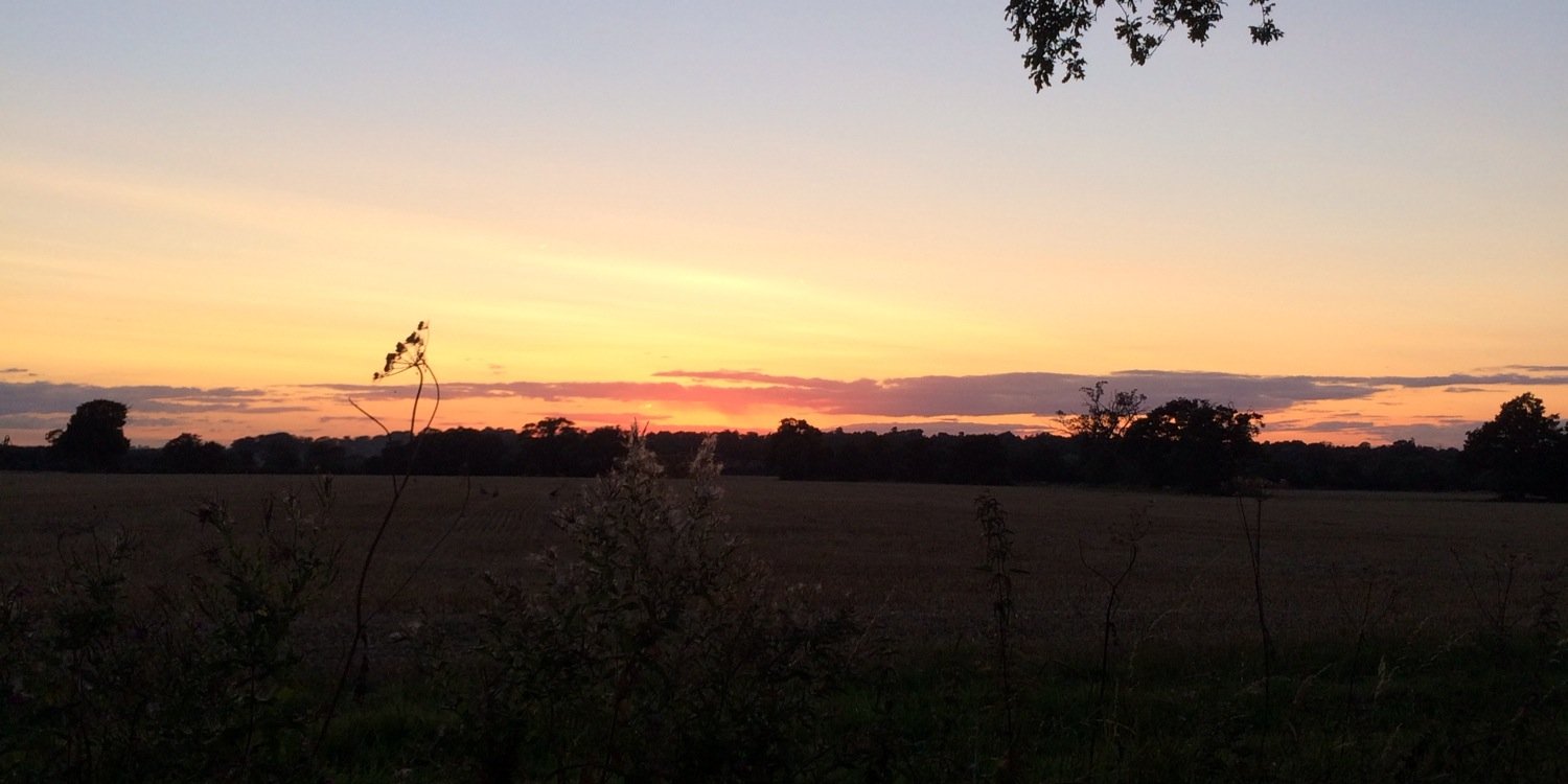 annacolbourn's profile banner image