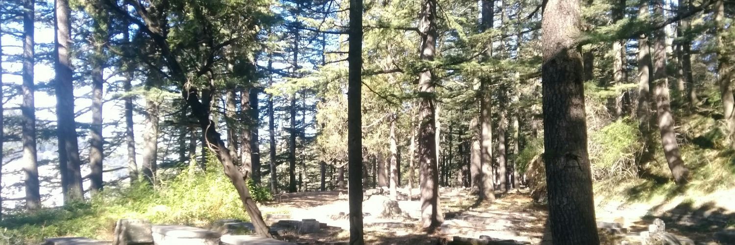shimlawalks's profile banner image