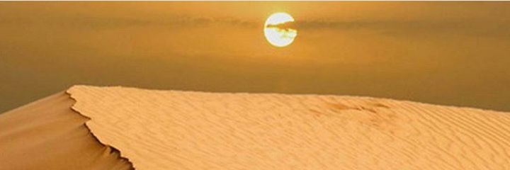 40pxp40's profile banner image