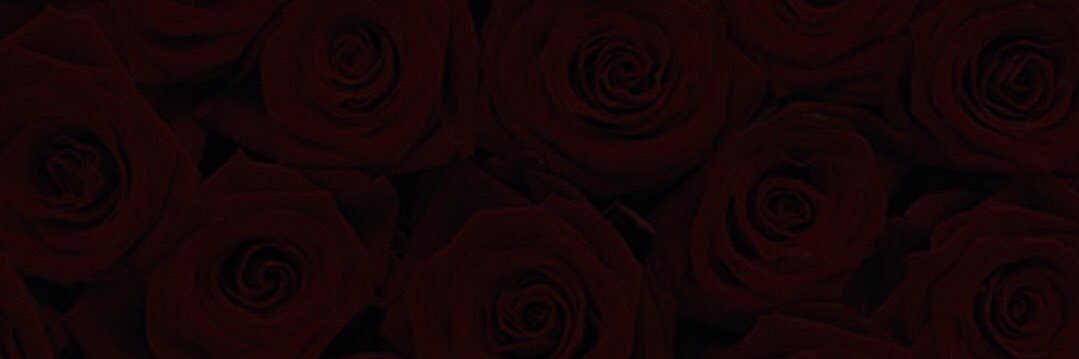 RayRxSe626's profile banner image