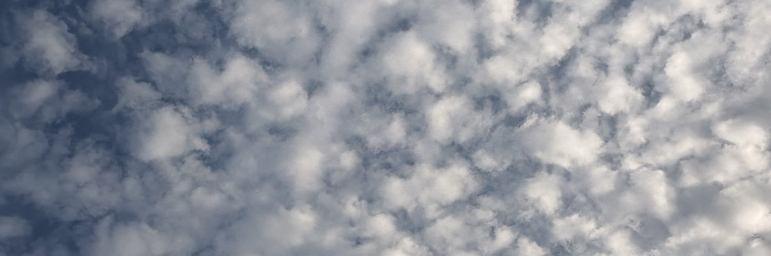 Averywoolman's profile banner image