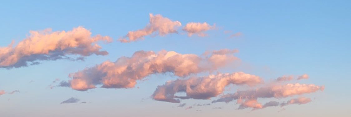 mxmrblh's profile banner image