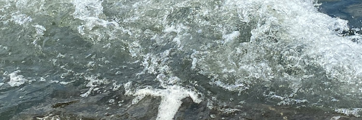 feongod's profile banner image
