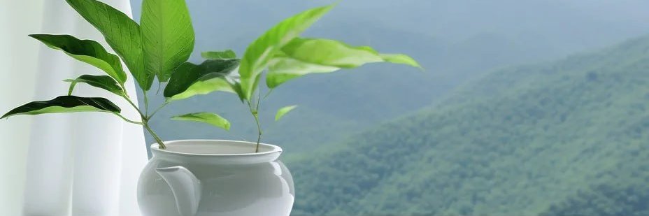 raynnexgmailcom's profile banner image