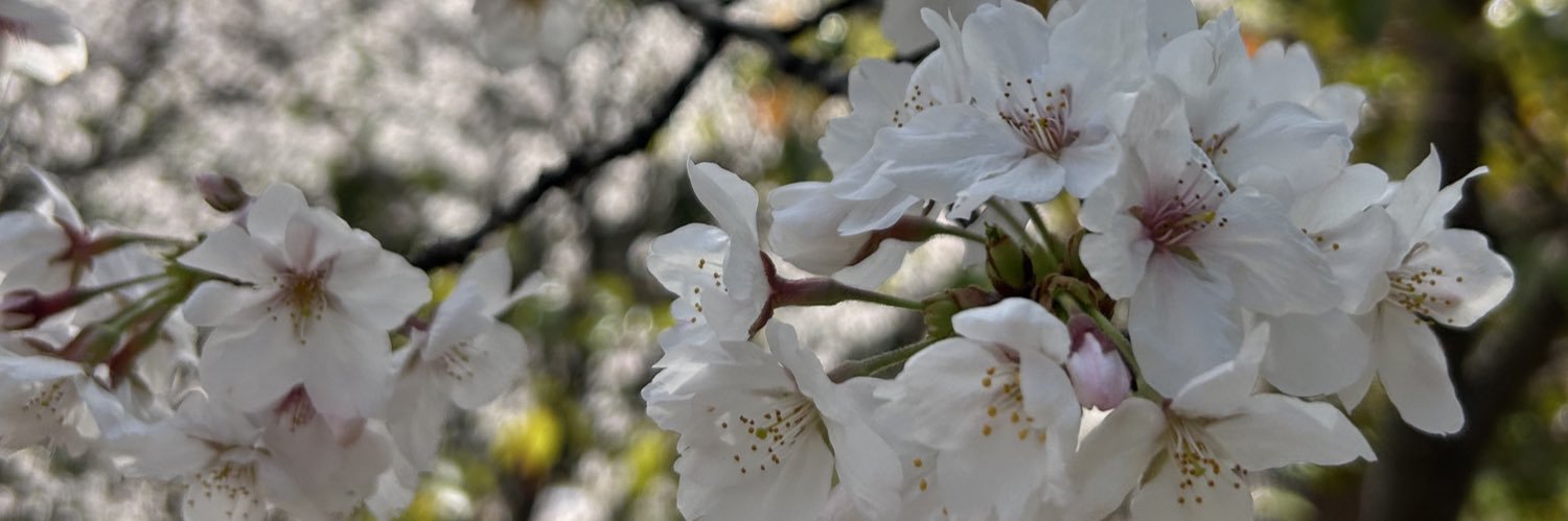 rieka627's profile banner image