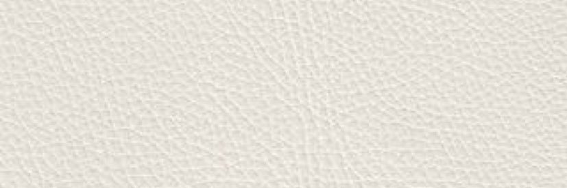 chelseapeyton96's profile banner image