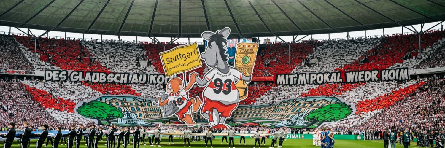 flxfi banner
