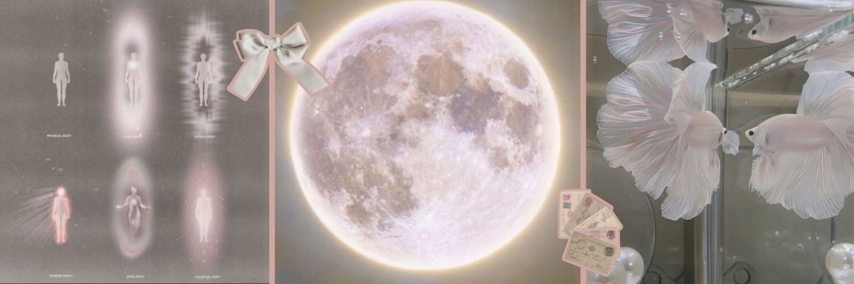 beersrelief's profile banner image