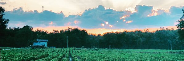 _aletchworth's profile banner image