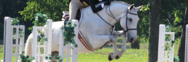 hannahsat's profile banner image