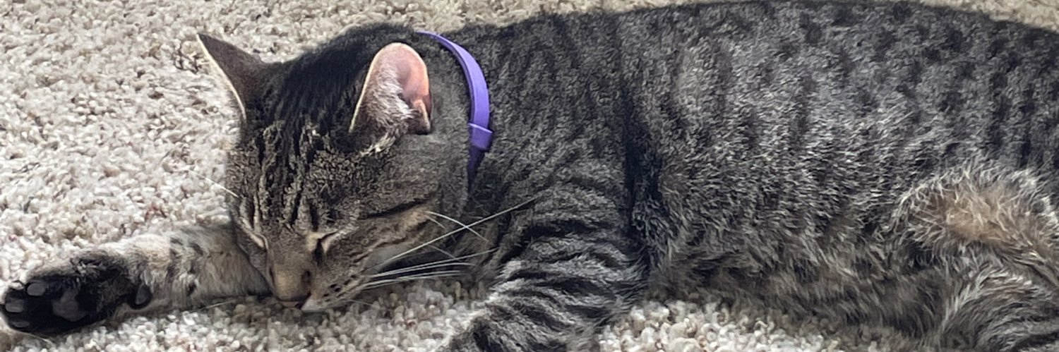 catlycabes's profile banner image