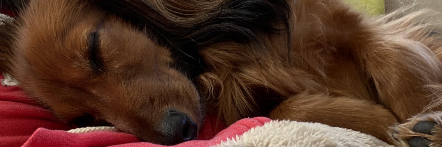 ykplanet's profile banner image