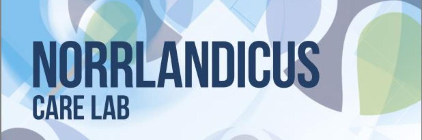 norrlandicus's profile banner image