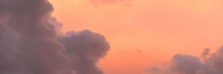 Camrynnnel's profile banner image