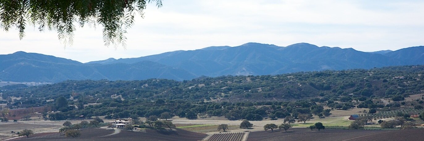 Peter Bourget banner