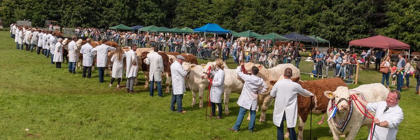 ArmaghShow's profile banner image