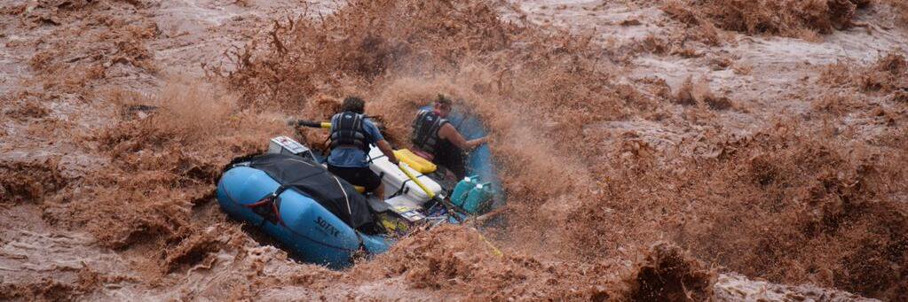 Elizabeth Garbe banner