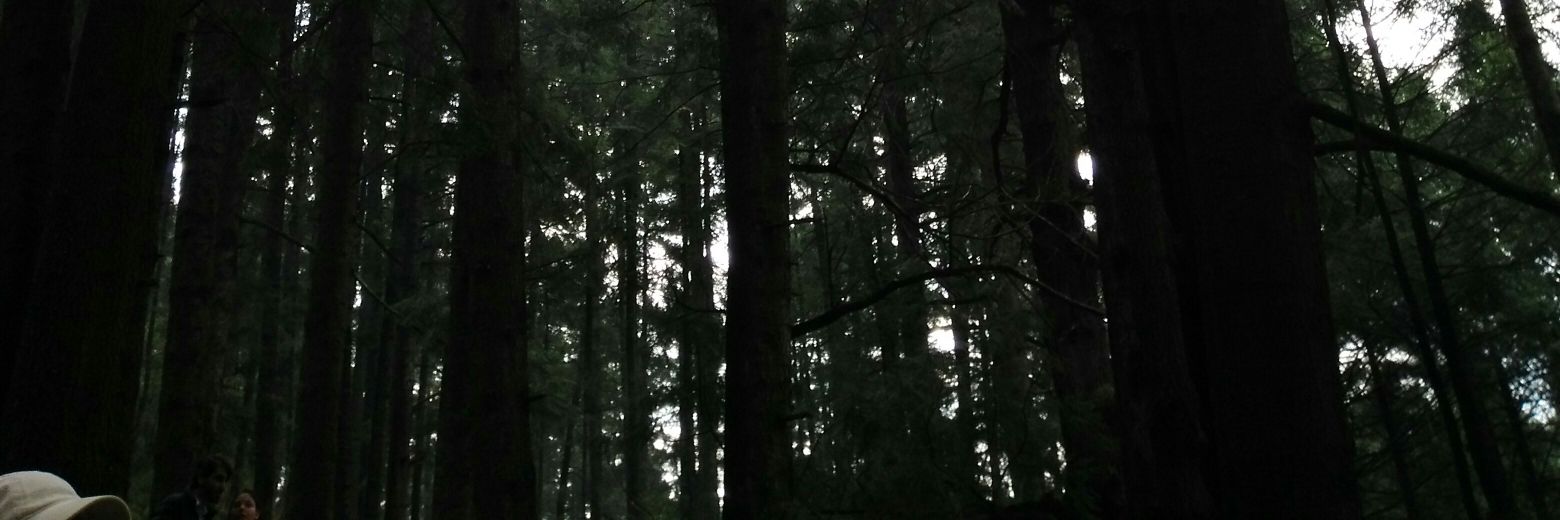 BrandonEstebanD's profile banner image