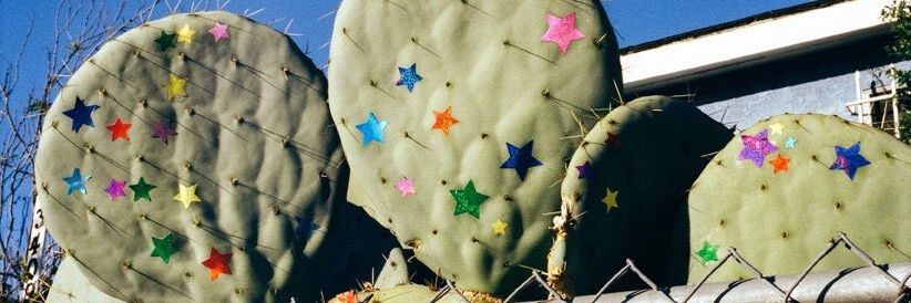 ramenngrrrl's profile banner image