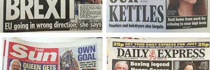 thenovice#fbpe #johnsonOut 🇺🇦 banner