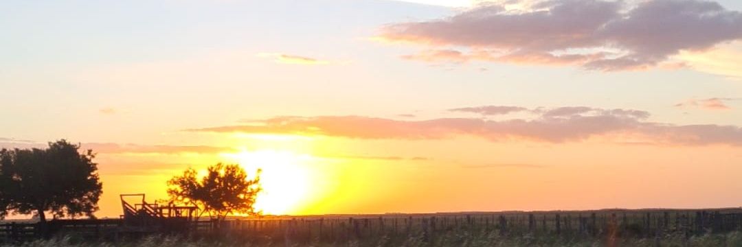 ayupunto's profile banner image