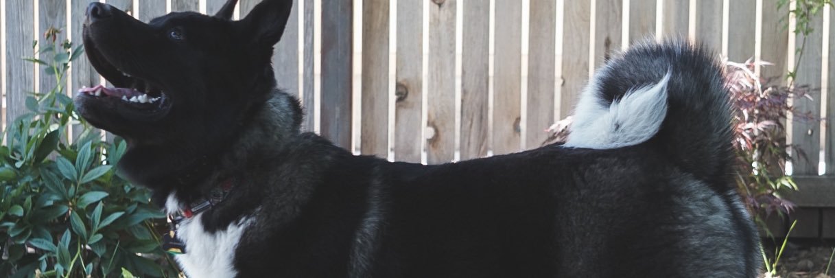 LongLiveFran's profile banner image