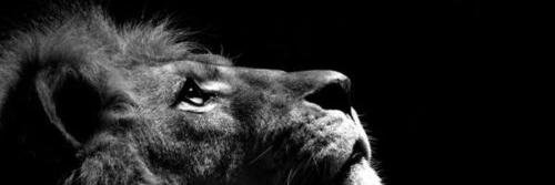 seurhun's profile banner image