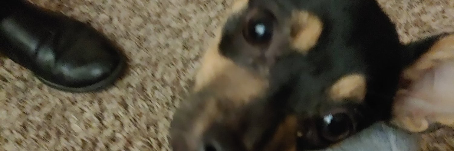 DuckRotation's profile banner image