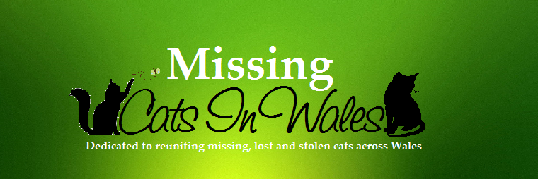 Missing Cats Wales banner