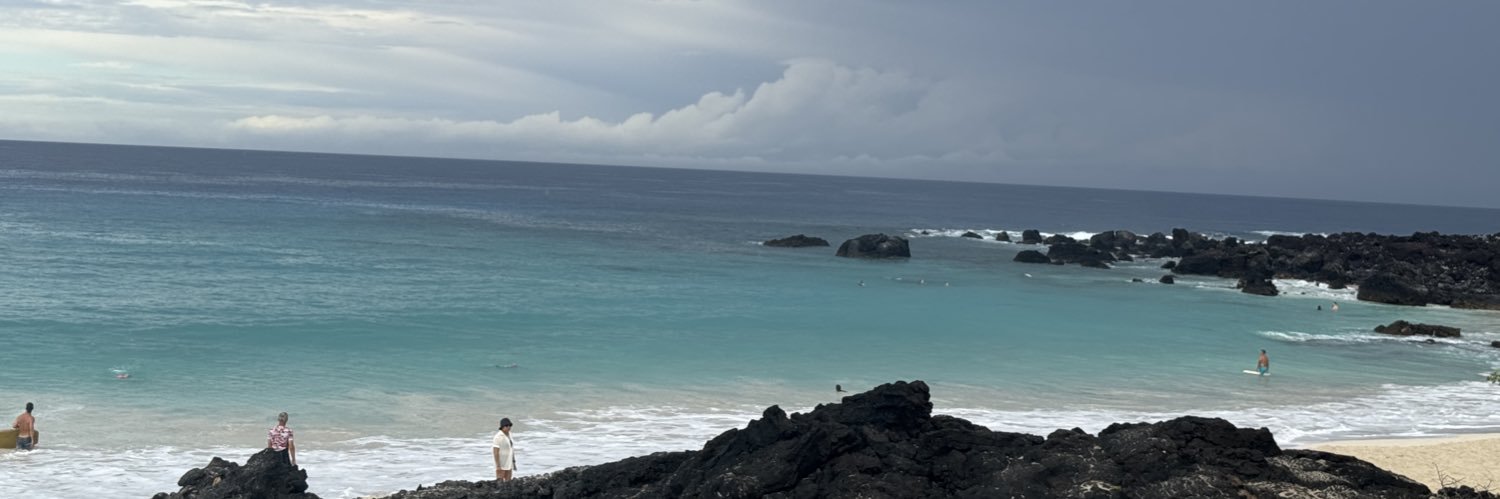 Melissa Bowman banner