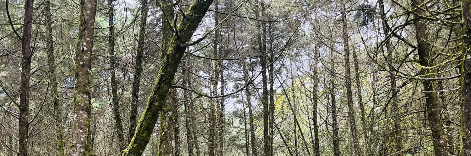 Annafernandezdc's profile banner image