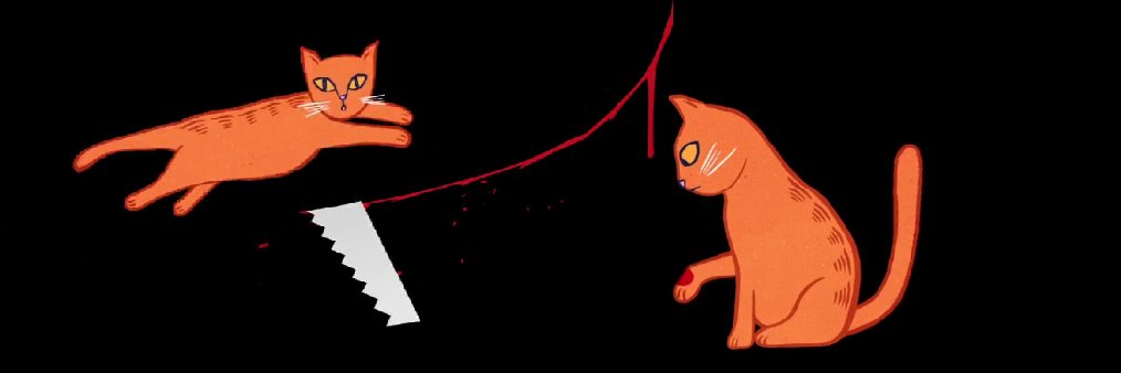 CallaChorra's profile banner image