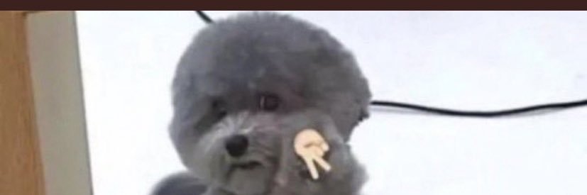 nursgrs's profile banner image