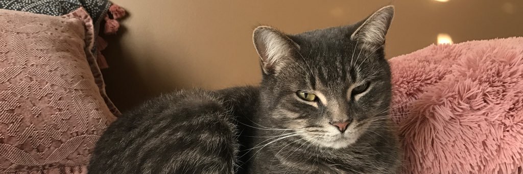 karlyroyal's profile banner image