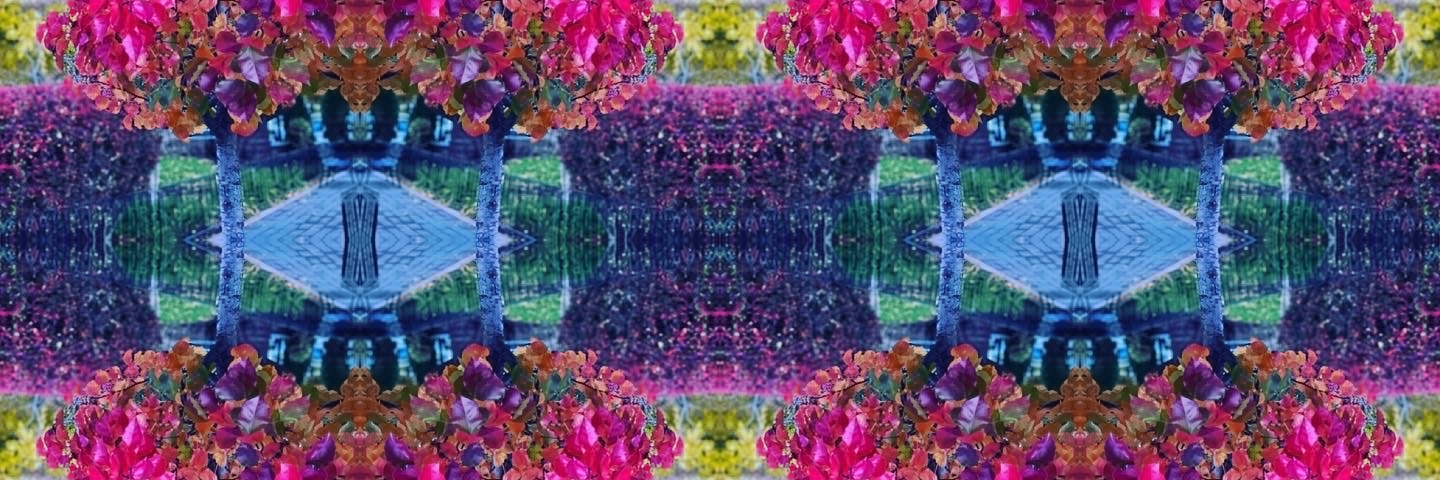 edelage's profile banner image