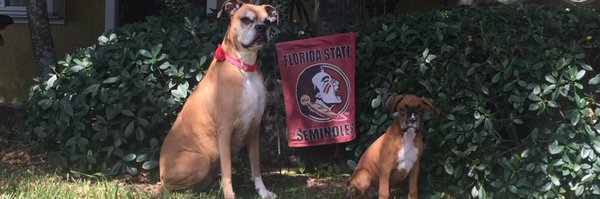 954Nole Profile Banner