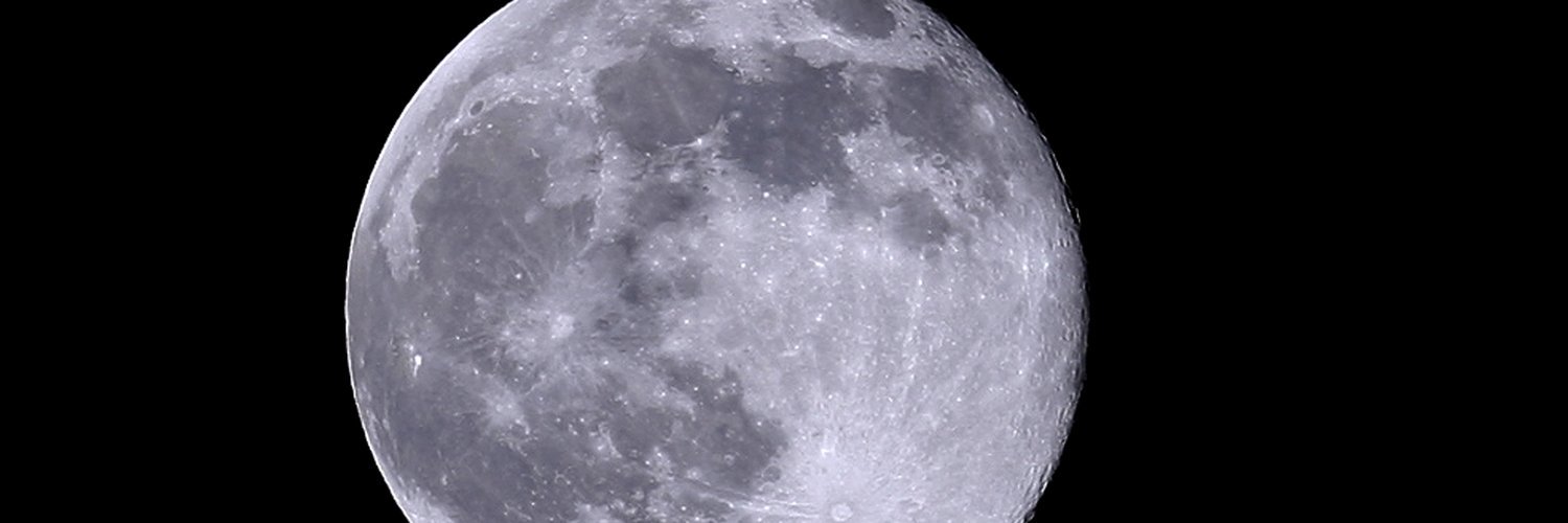 DannaGChile's profile banner image