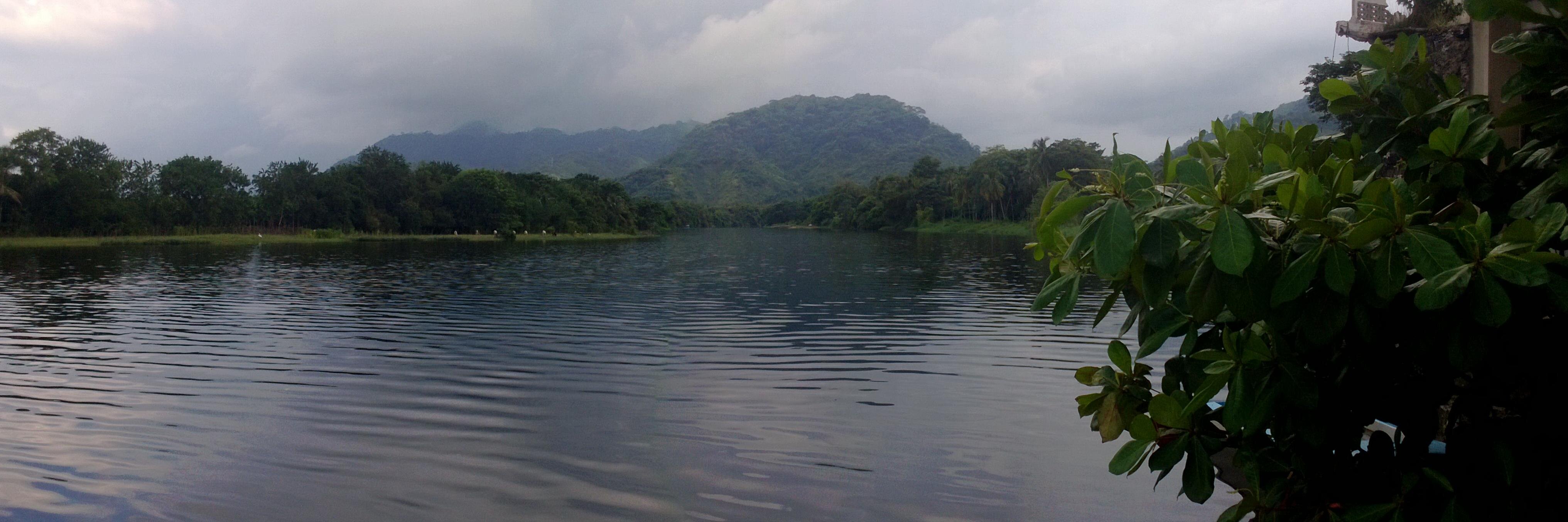 Katia González Robles banner