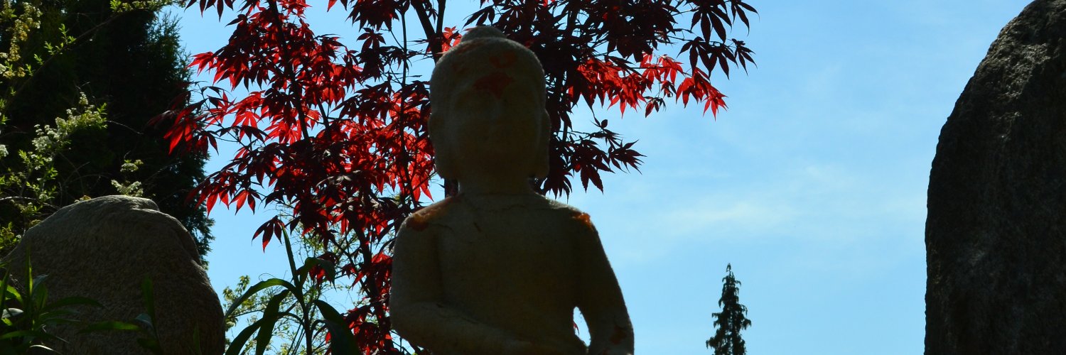 laktosh 🤹‍♀️ banner