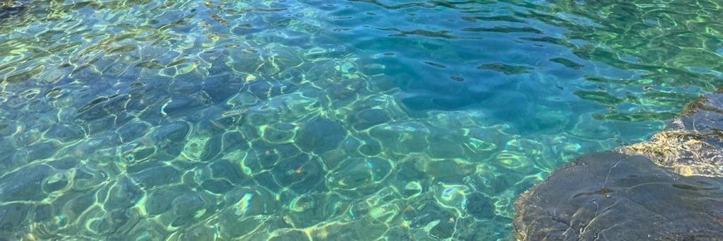 Mαrlen Melián Morín banner