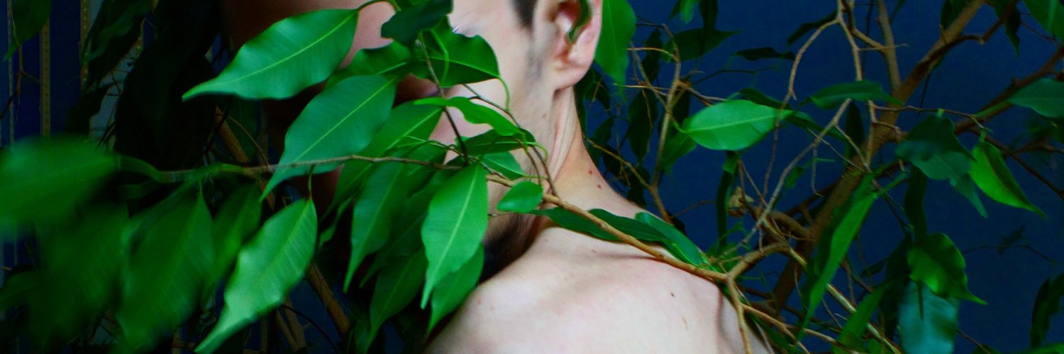 Paride Mirabilio banner