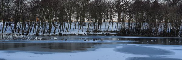 rishiplanet Profile Banner