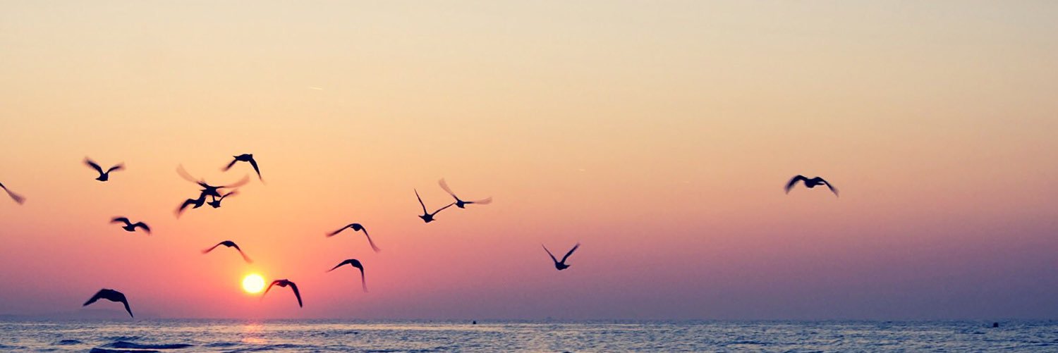 _mawalker's profile banner image