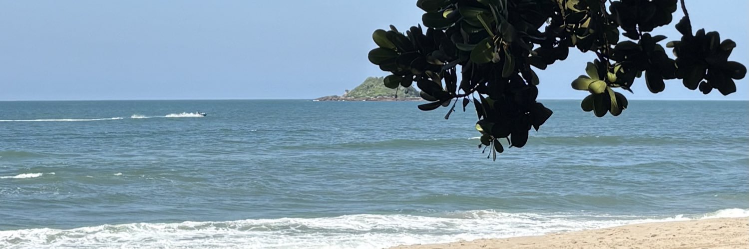 chapocria's profile banner image