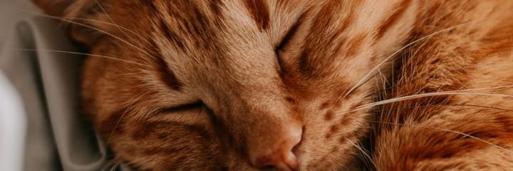 Dede__1d's profile banner image